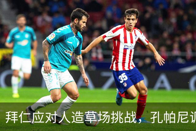 拜仁应对人造草场挑战，孔帕尼调整备战策略